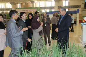        لزوم توجه محققان ایرانی به تولید و ترویج نمک سبز در جامعه