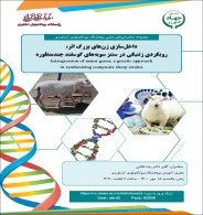 در سخنرانی علمی پژوهشگاه بررسی می شود داخل سازی ژن های بزرگ اثر، رویکردی ژنتیکی در سنتز سویه های گوسفند چندمنظوره