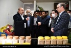 
بازدید معاون وزیر و رییس سازمان تحقیقات، آموزش و ترویج کشاورزی

از پژوهشکده بیوتکنولوژی صنایع غذایی