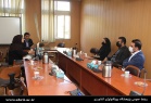 پژوهشگاه بیوتکنولوژی کشاورزی به کمک تعیین خلوص نژادی و تامین علوفه اسب های بومی کشور می آید