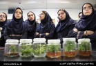 بازدید دانش آموزان دبیرستان نمونه دولتی فاطمه زهرا و جمعی از دانش آموزان پایه هشتم دبیرستان نیکان تهران از پژوهشگاه 