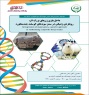 در سخنرانی علمی پژوهشگاه بررسی می شود داخل سازی ژن های بزرگ اثر، رویکردی ژنتیکی در سنتز سویه های گوسفند چندمنظوره