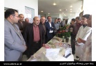   رییس سازمان تحقیقات‌، آموزش و ترویج کشاورزی از پژوهشکده بیوتکنولوژی متابولیت های ثانویه پژوهشگاه بازدید کرد