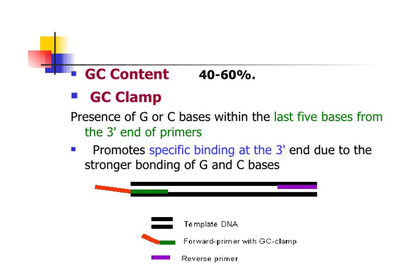 PCR با پرایمر واجد GC Clamp 